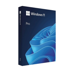 Microsoft Windows 11 Professional 64 Bit ENG Intl 1PK DSP OEI DVD (PC OS)