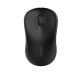 Rapoo M160 Multi-mode Wireless Mouse