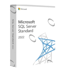 Microsoft SQL Server Standard Edition 2022 Perpetual Commercial 1 Server License
