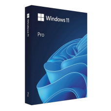 Microsoft Windows 11 Professional 32/64 Bit ENG Intl USB