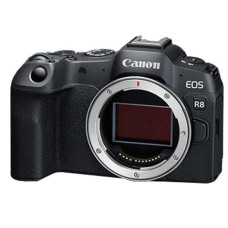 Canon EOS R8 Mirrorless Camera Body (Black) (No Warranty)